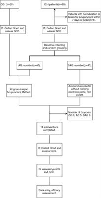 Effect of acupuncture in the acute phase of intracerebral hemorrhage on the prognosis and serum BDNF: a randomized controlled trial